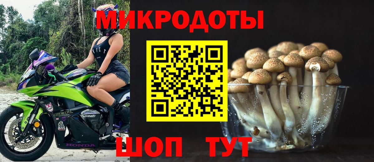 Галлюциногенные грибы прущие грибы  Вход с VPN  купить закладку  Пугачёв 