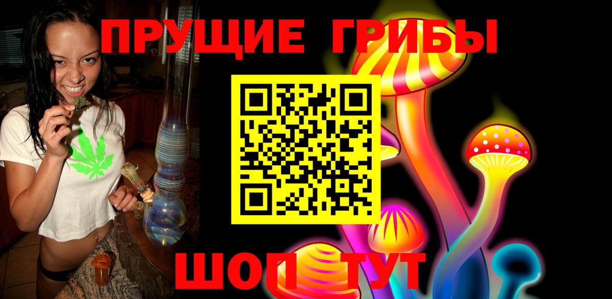 Псилоцибиновые грибы прущие грибы Пугачёв